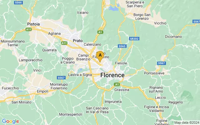 Florence Airport lots map