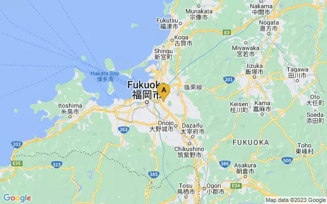 Fukuoka Airport lots map