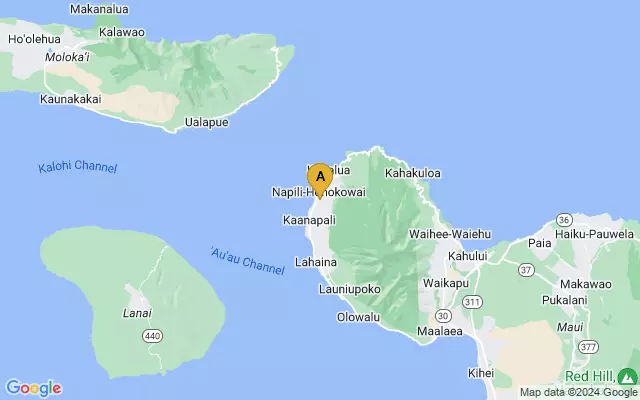 Kapalua Airport lots map