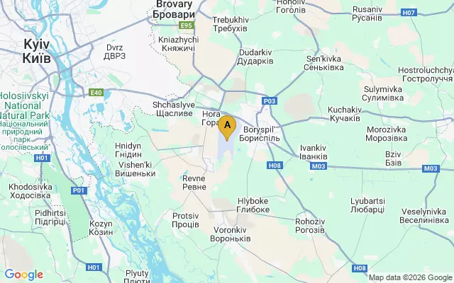 Boryspil International Airport lots map