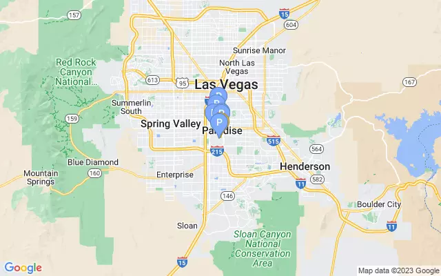 Las Vegas McCarran Int'l Airport  lots map