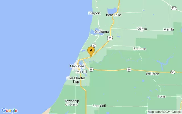 Manistee County Blacker Airport lots map