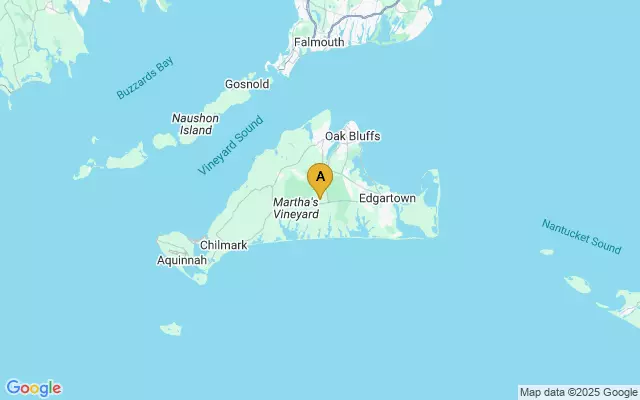 Martha's Vineyard Airport lots map