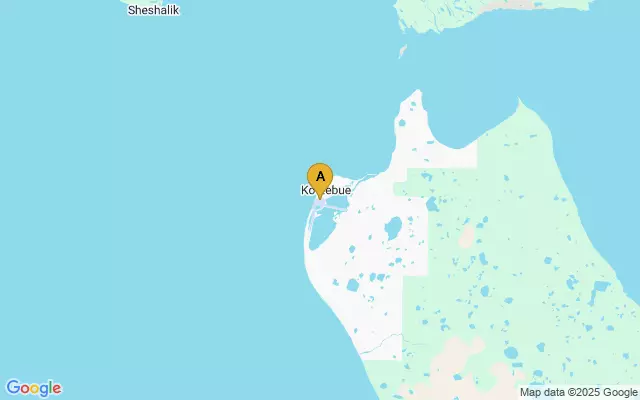 Ralph Wien Memorial Airport lots map