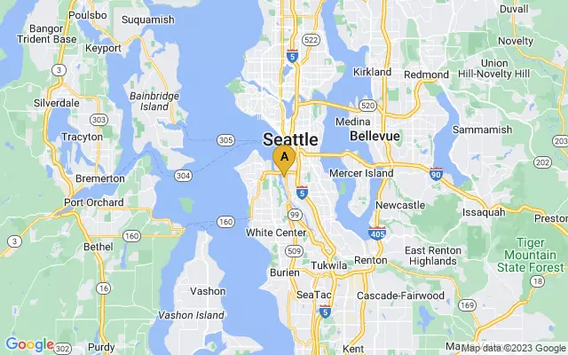 Port of Seattle lots map