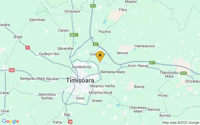 TIMI Score: What It Means and What to Do with a High Score intelligence overview