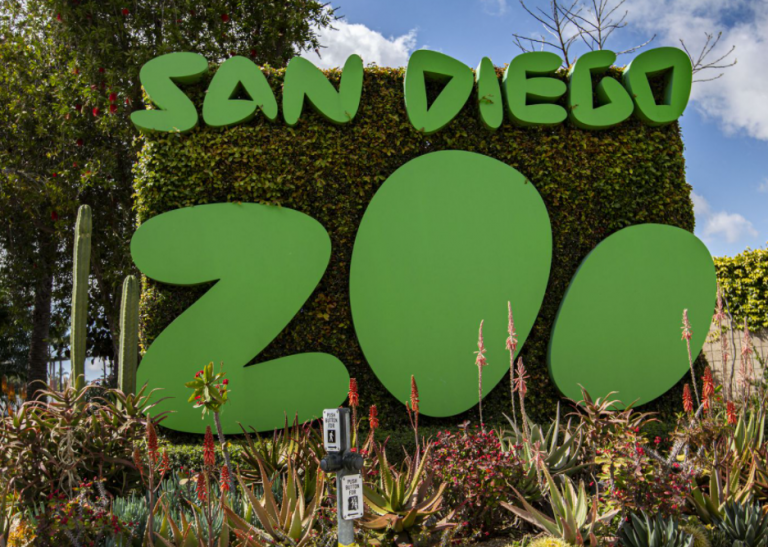 San Diego Zoo Parking Guide